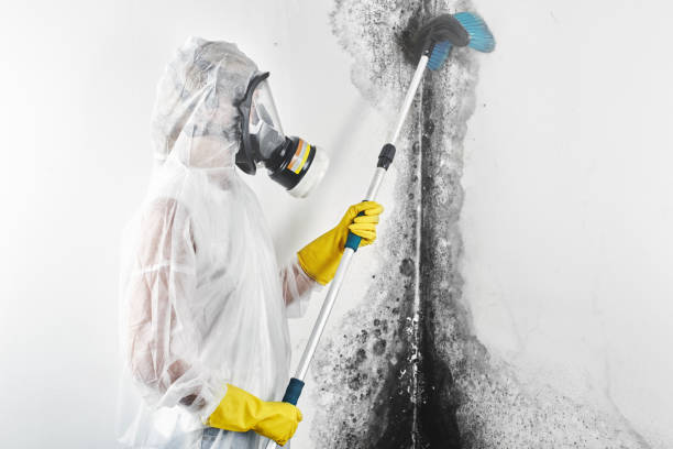 Best Indoor Air Quality Assessment  in Kiefer, OK