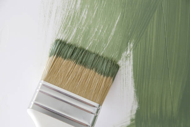 Best Mold Damage Restoration  in Kiefer, OK