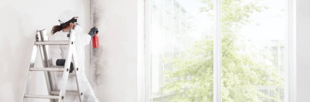 Best Attic Mold Removal  in Kiefer, OK