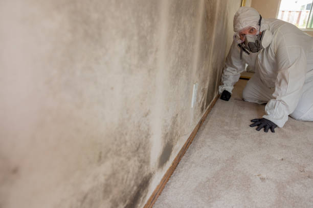 Best Biohazard Mold Removal  in Kiefer, OK